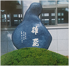 교비